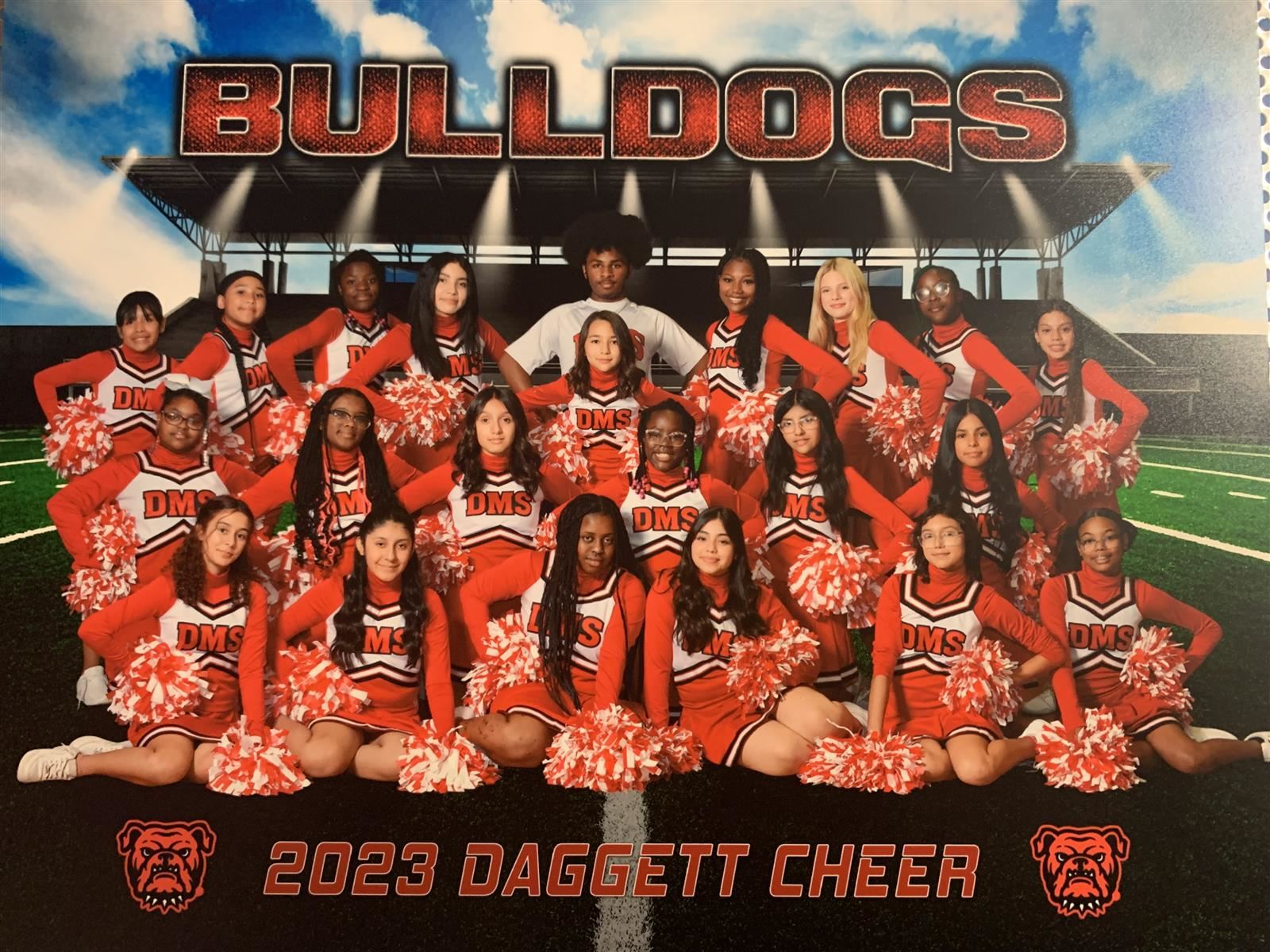 DMS Cheer Team 2023-24